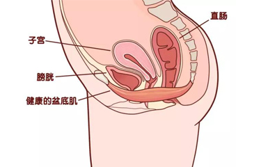 月子會所盆底肌儀器有用嗎？選擇月子會所有什麽好處？